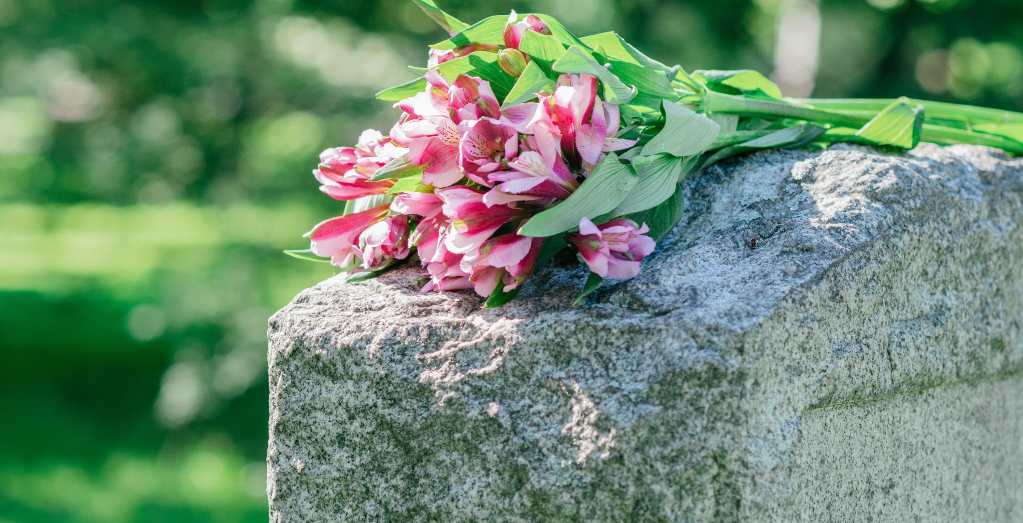 what is a natural burial, Natural burial Australia, Natural burial Queensland,