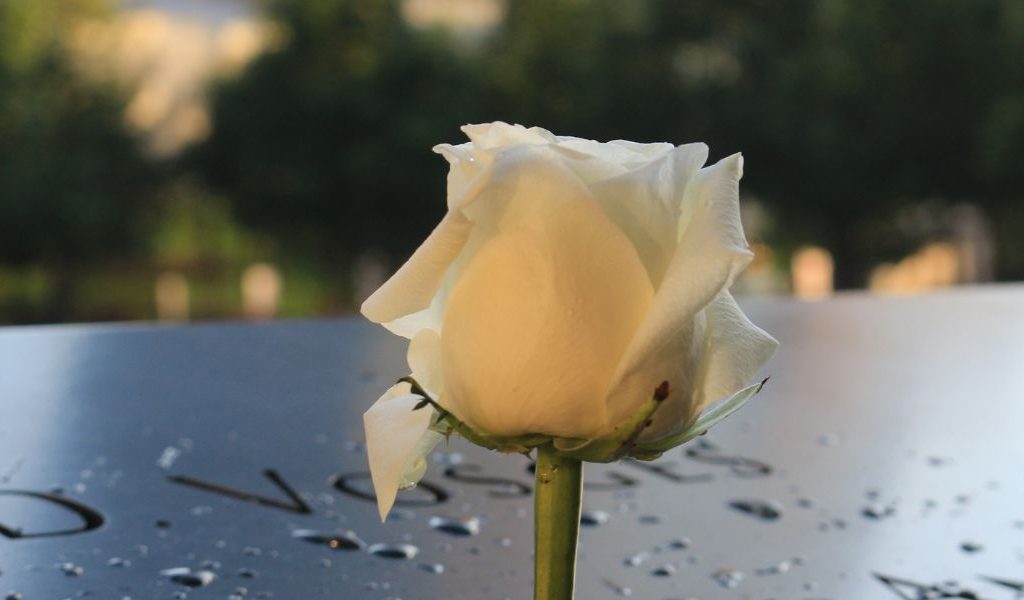 interactive memory stations during unique memorial services