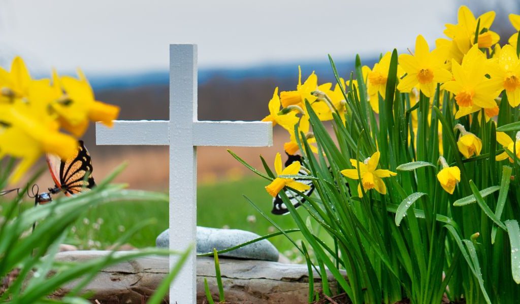 Natural Burial Grounds