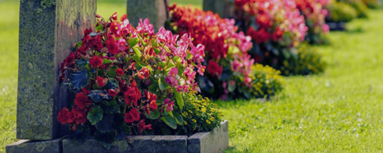 cremation, cremation process, direct cremation, quality cremation services